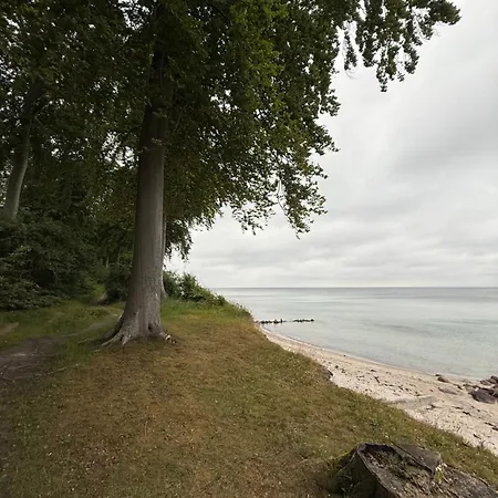 Nordica Villa