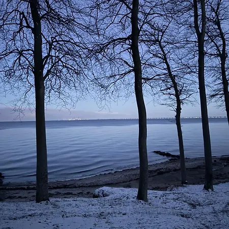Nordica *